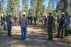 Meeting in the forest