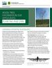 Cover page of the Moon Tree Information for Applicants: Planting and Care publication.