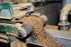 Wood pellets emerge from inside a conveyor belt.