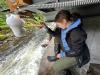 A student with boots crouches under a camera pointed at a brown bear in the stream.