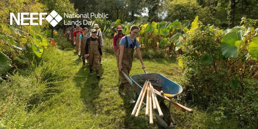 Volunteers working on National Public LAnds