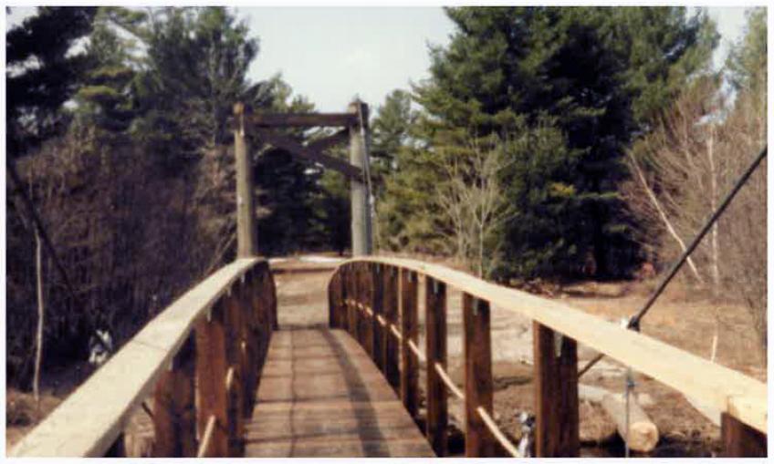 Photo: wooden bridge in the forest
