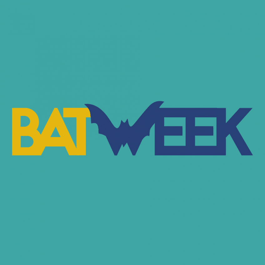 Bat Week Research wildlife biologist talks bats US Forest Service