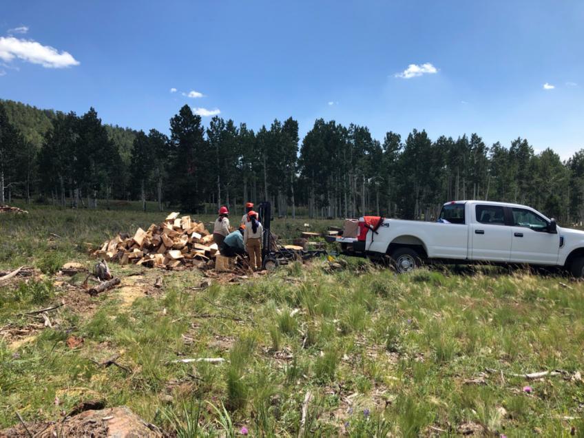 Crew gathering wood to haul away in a truck.