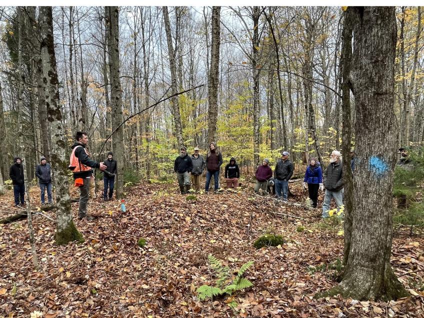 Forester marks trees while explaining his process to observing group.