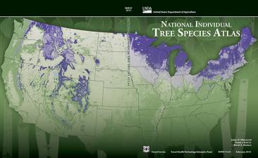 FHP Publication Cover of National Individual Tree Species Atlas