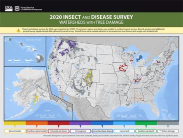 Insect and Disease Survey Map