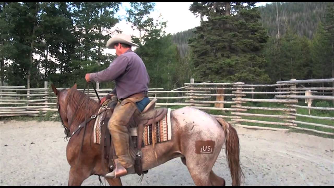 Thumbnail for video titled: Wilderness Packer Program Uses Wild Mustangs at the Blackrock Ranger Station Bridger-Teton