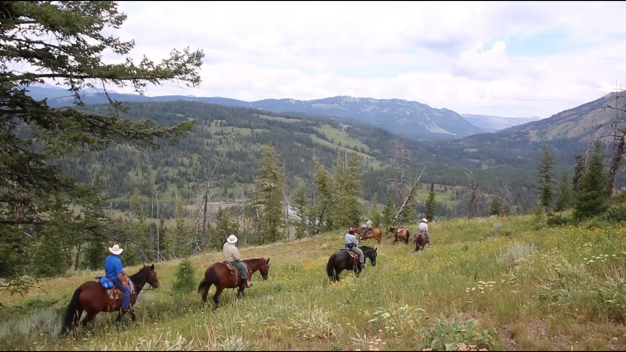Thumbnail for video titled: Teton Wilderness, Bridger-Teton National Forest