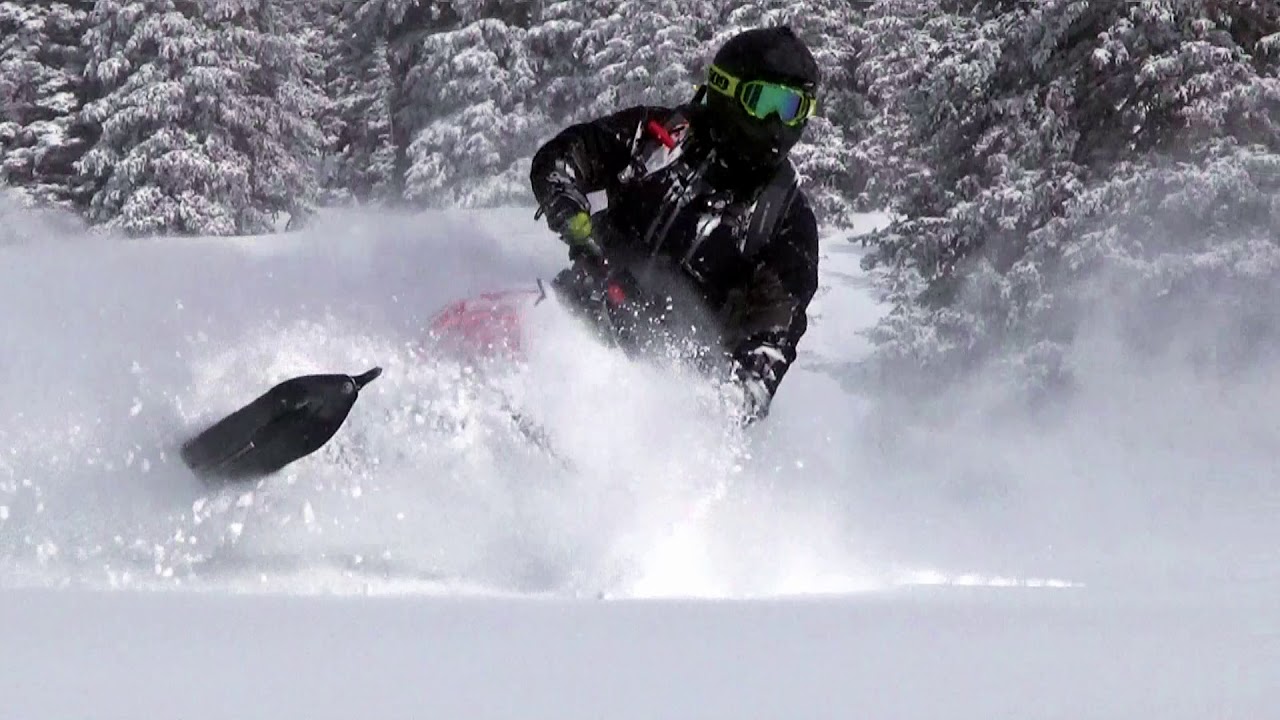 Thumbnail for video titled: Fishlake National Forest - What a place to visit!