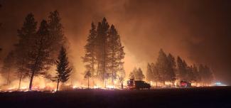 Boise Cone Collection-Pines Burning - Updated.jpg Boise Cone Collection-Pines Burning - Updated