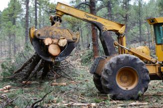 Skidder securing and clearing cut trees for thinning forest.jpg Skidder securing and clearing cut trees for thinning forest