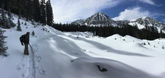 A hiker stands on a deep snow-covered trail in the forest.