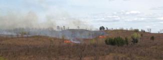 Image - Moquah Barrens.jpg Image - Moquah Barrens