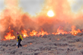 Fire Jobs.png Fire Jobs