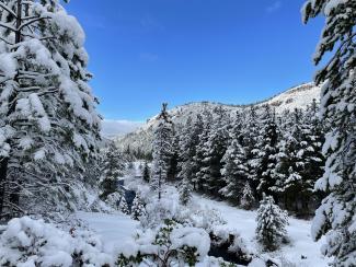 Winter Scene.jpg Winter Scene