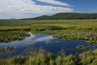 KLAMATH MARSH NATIONAL WILDLIFE AREA.jpg KLAMATH MARSH NATIONAL WILDLIFE AREA