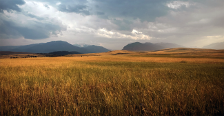 rangeland dark sky