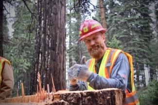 Jason Murieen: PSW Regional Saw Manager