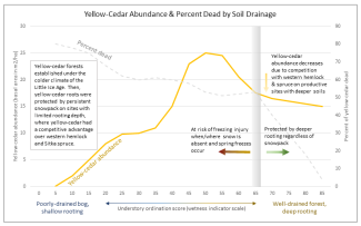 Graph showing the relationship between soil drainage and yellow-cedar decline.