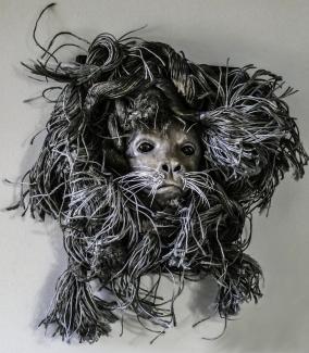 An artwork of a seal framed by rope.