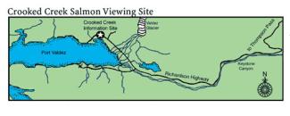 Illustrated map of Crooked Creek Information Site.