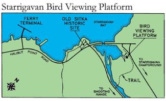 An illustrated map of the Starrigavan Bird Viewing site.