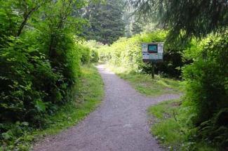 ward_lake_rec1