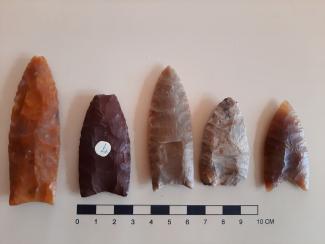 Clovis Projectile Points from the Bob Bunker Collection.jpg Clovis Projectile Points from the Bob Bunker Collection