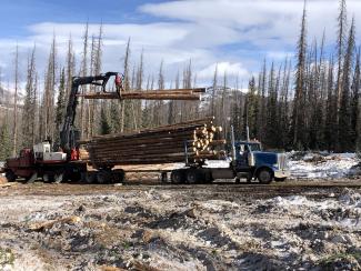 A crane on the back of a small truck loads logs on to a logging truck.eing loaded