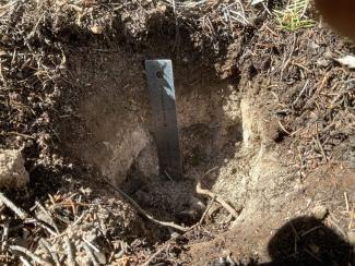 soil pit for monitoring in support of timber sale.jpg soil pit for monitoring in support of timber sale
