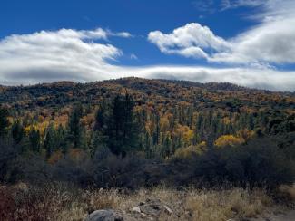 A view from Pinnacles OHV Staging area