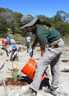 Karen Castaneda waters a plant