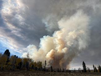 Rx fire smoke plume