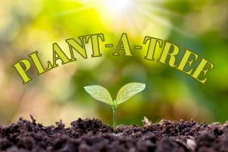 Plant a Tree Graphic.jpg Plant a Tree Graphic