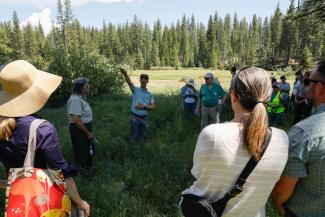 People standing around a man pointing in a meadow