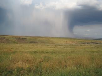 A distant storm easily seen across the flat prairie pours rain on the grassland.