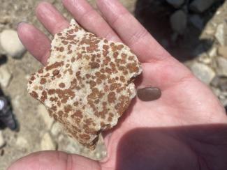 A colorful rock in the palm of someone's hand.