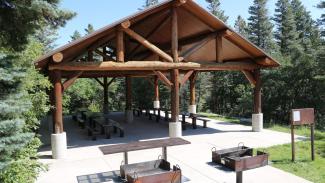 large picnic shelter with benches and grills