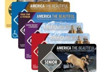 Six types of America the Beautiful passes lined up in a row