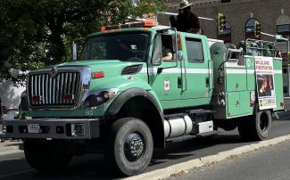 Green Truck with a man in a bear suit on top