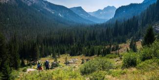 Two backpackers hiking through a canyon with pine trees.