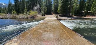 Fast moving water rushing over a paved road in a a forest with trees