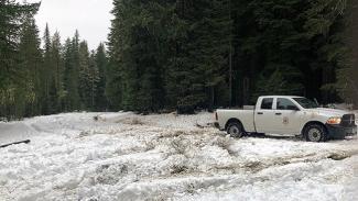 Forest Service truck outside in a forest with tall pines, snow all around and over roadway