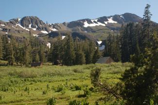An upper elevation, alpine meadow on the Stanislaus National Forest