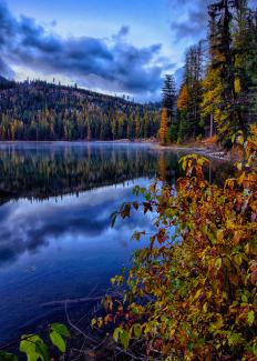 still lake with mirror reflection of surrounding trees and mountains