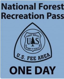 Picture of a blue day pass