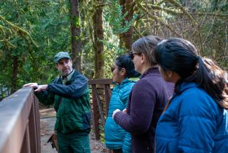 A group of people talking in a forest.