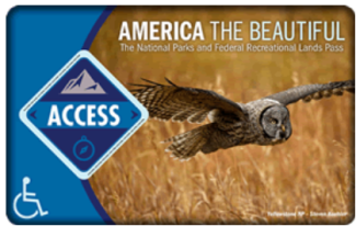 A pass that says Access and features a picture of an owl.