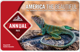 A pass showing a picture of a lizard and the word annual